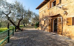 Casetta Maduneta Immersa In Un Oliveto