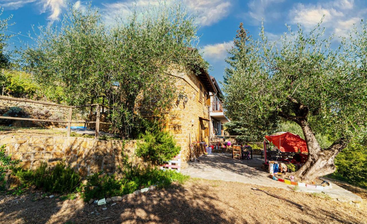 Casetta Maduneta Immersa In Un Oliveto Dolceacqua Exterior foto