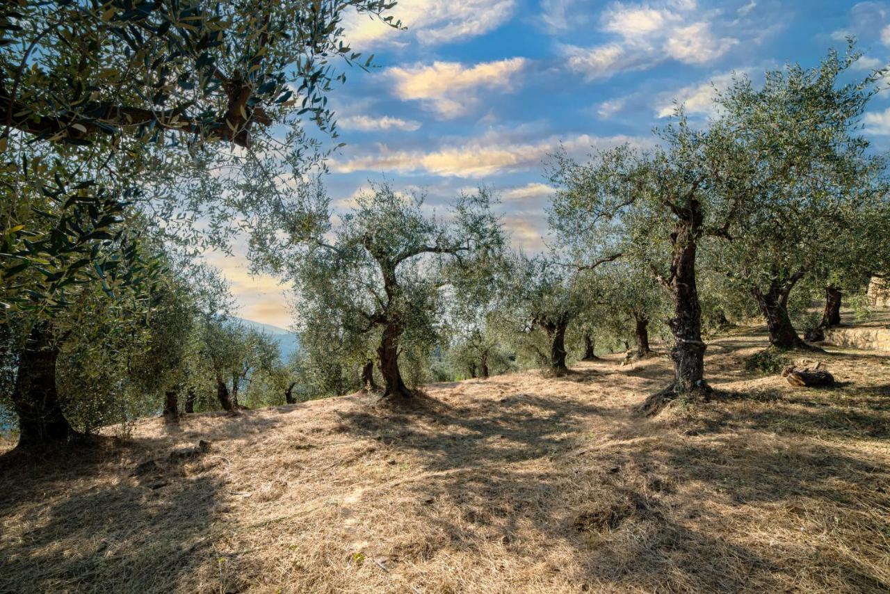 Casetta Maduneta Immersa In Un Oliveto Dolceacqua Exterior foto
