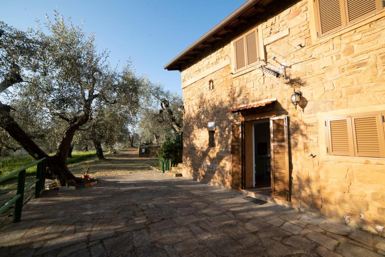 Casetta Maduneta Immersa In Un Oliveto Dolceacqua Exterior foto