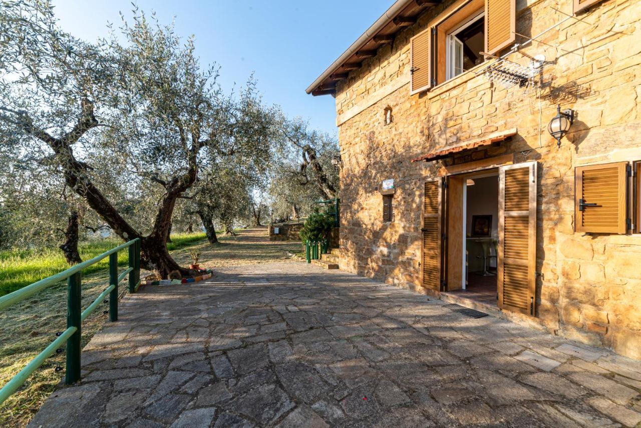 Casetta Maduneta Immersa In Un Oliveto Dolceacqua Exterior foto